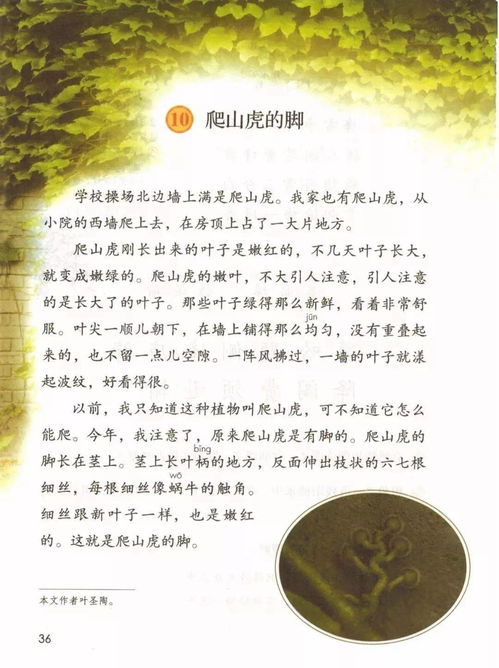 虎怎么组词 虎怎么组词