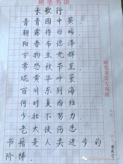 日月月怎么组词