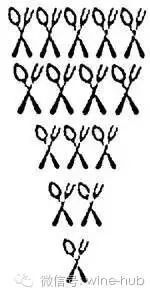 食堂的匙怎么组词