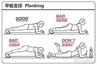 动作动动怎么组词