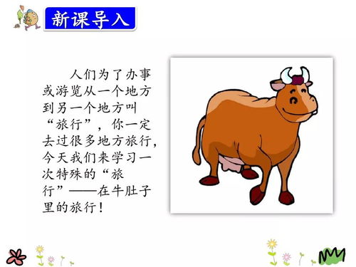 肚怎么组词 肚怎么组词