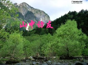 山有山可以怎么组词