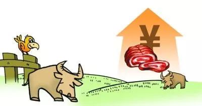 牛肉的肉组词怎么写 牛肉的肉组词怎么写