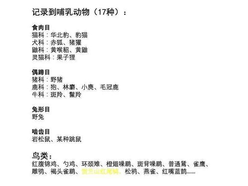 多窥怎么组词 多窥怎么组词