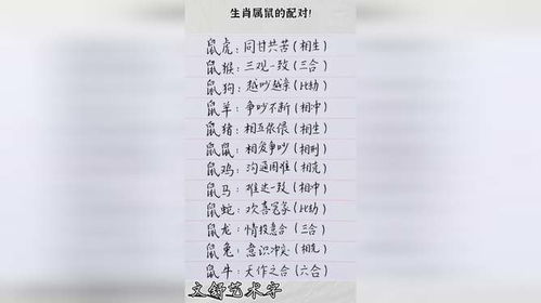 属鼠的怎么组词 属鼠的怎么组词