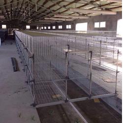 笼鸡笼的笼怎么组词