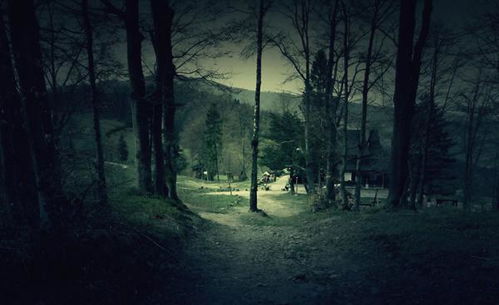 树林林林怎么组词