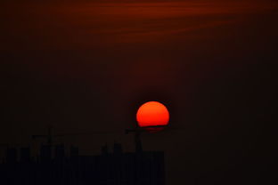 夕阳组词有哪些