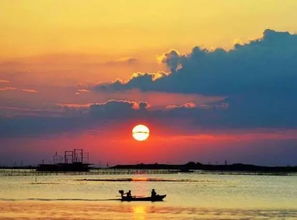 夕阳组词有哪些