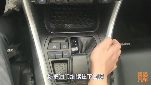 档该怎么组词 档该怎么组词