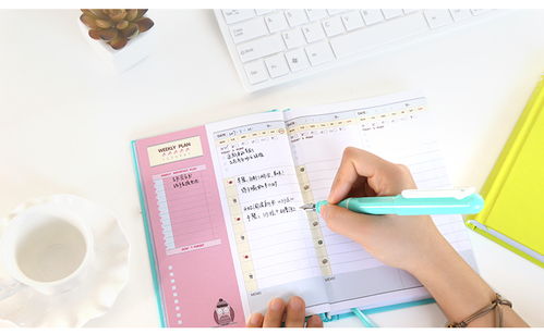 文具的具能怎么组词