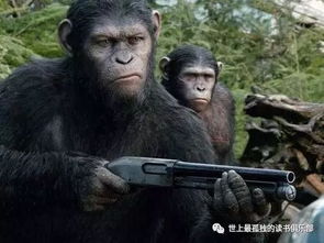 星星猩猩怎么组词