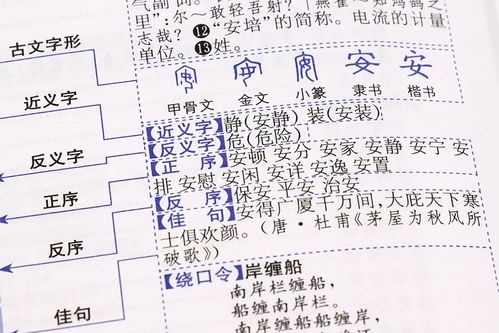 的器怎么组词 的器怎么组词