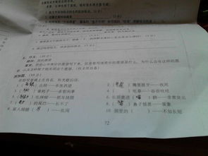 兔子怎么组词怎么写