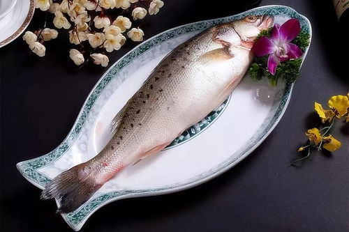 鲈鱼的鱼怎么组词