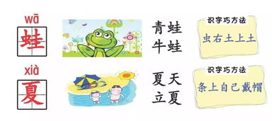 中国汉字怎么组词造句