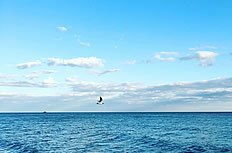 蓝天的蓝怎么组词 蓝天的蓝怎么组词