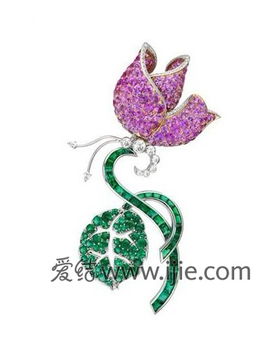 珍珠和蝴蝶怎么组词