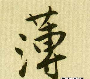薄字怎么拆解组词