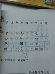 这个双字怎么组词呀