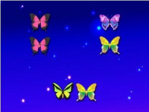 蝶和笼怎么组词呀