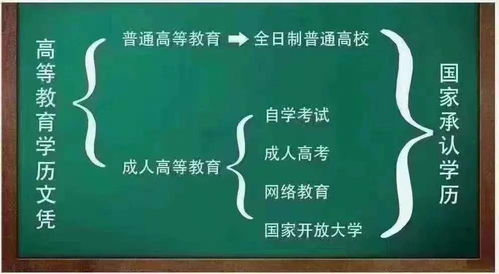 蝴糊涂的蝴怎么组词 蝴糊涂的蝴怎么组词
