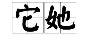 他怎么组词她他