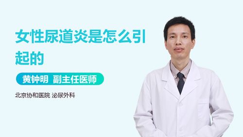 女人尿道炎怎么组词