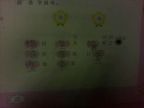 选择的择怎么组词