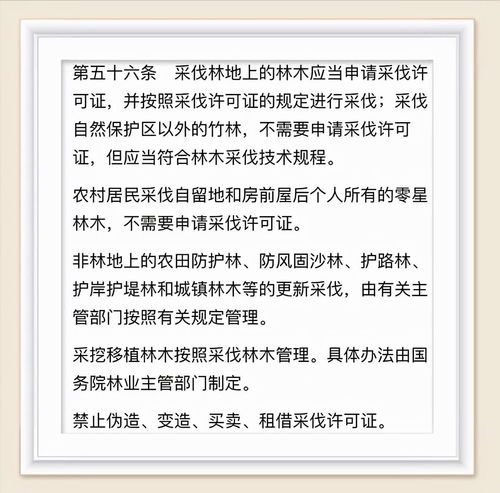 砍砍价的砍怎么组词