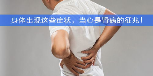 肾病的肾舜怎么组词 肾病的肾舜怎么组词