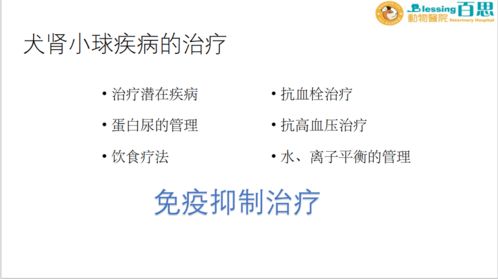 肾病的肾舜怎么组词 肾病的肾舜怎么组词