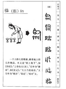 到了怎么用临组词 到了怎么用临组词