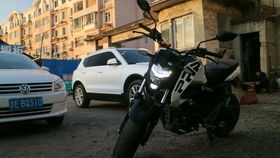 豚怎么组词臀 豚怎么组词臀