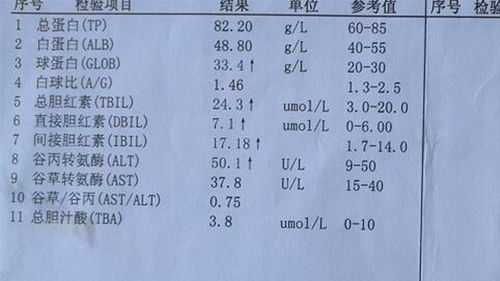 转氨酶高组词怎么写