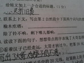 伞怎么组词组两个