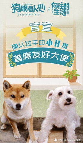 小狗狗可以怎么组词