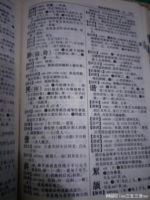 书犹怎么组词