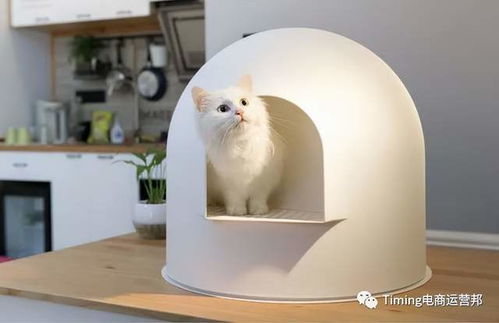 猫屋的猫猫怎么组词