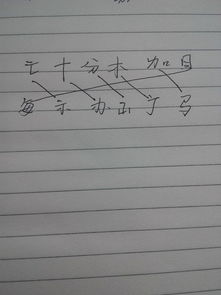 线的组词怎么