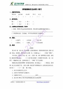 海峡的夹可以怎么组词