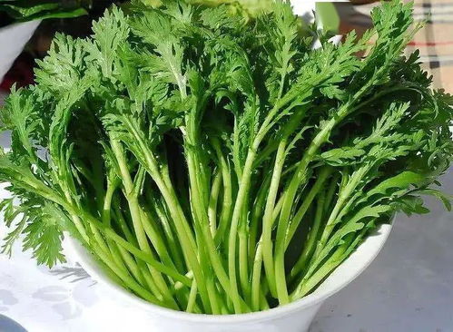 茼蒿的童怎么组词好句