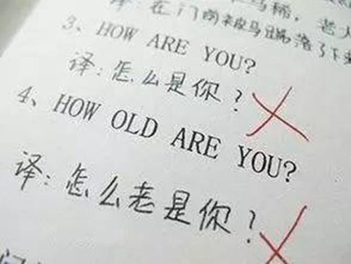 也是的也能怎么组词 也是的也能怎么组词