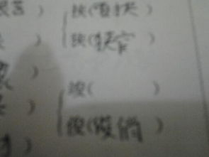 字怎么组词仁 字怎么组词仁