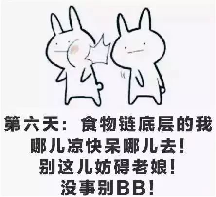 起床奇怎么组词