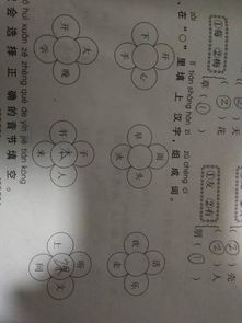涂怎么组词语 涂怎么组词语