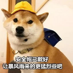 我说红怎么组词 我说红怎么组词