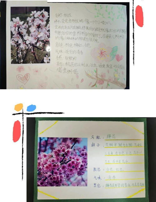 秋天的果实怎么组词 秋天的果实怎么组词