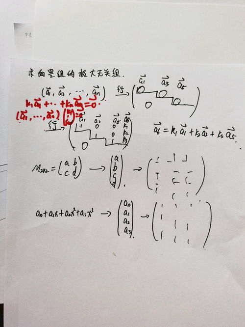 木字旁梅组词怎么组