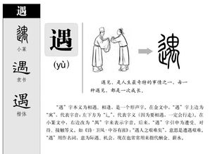 拼衣服的被可以怎么组词